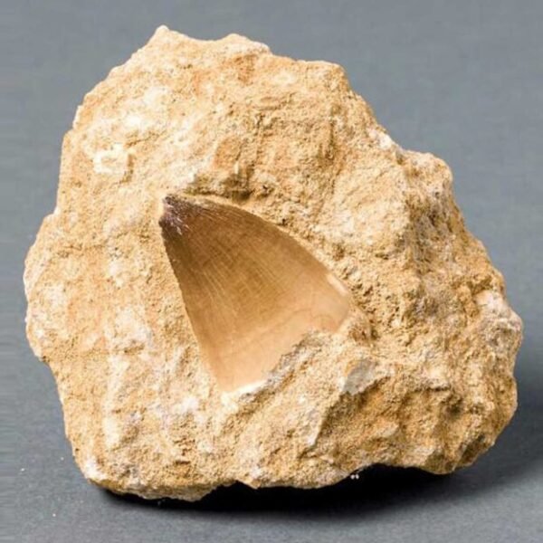 Phosphate Rock